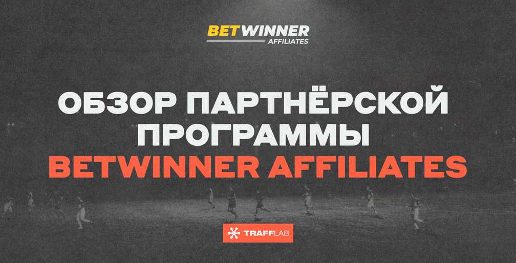 BetWinner Affiliates: обзор партнёрской программы